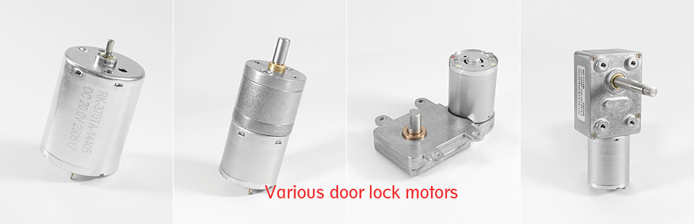 Various door lock motors